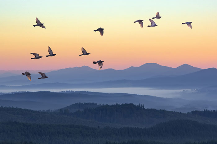 Catholic Hospice in Pittsburgh
