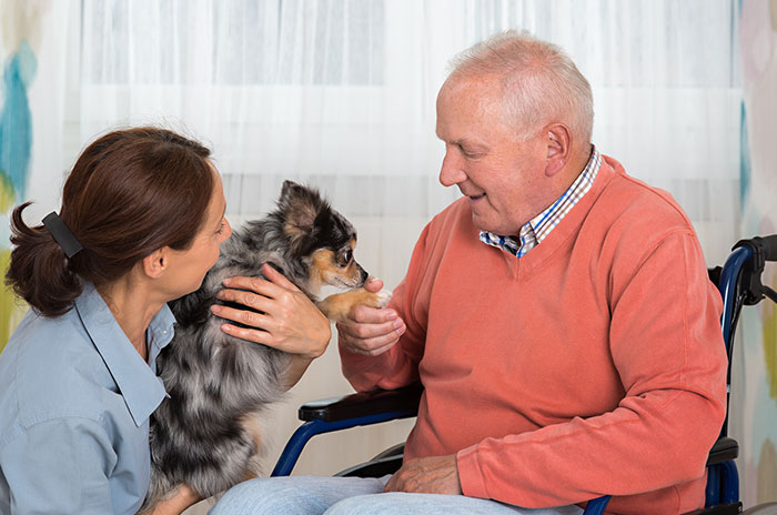 Catholic Hospice volunteer opportunities Pittsburgh